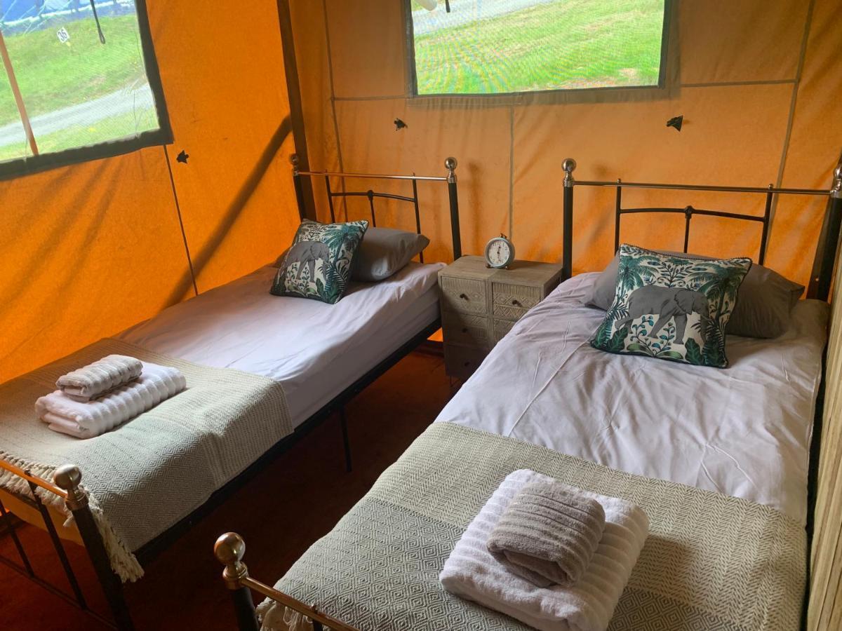 Mountain View Safari Tent With Hot Tub In The Heart Of Snowdonia Luxuszelt Dolgellau